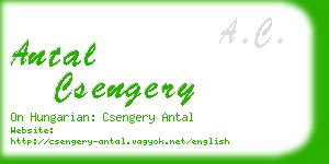 antal csengery business card
